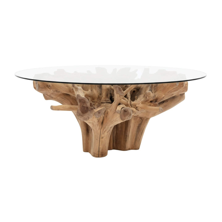 Glass-top Mur teak root dining table with natural wood base on a white background