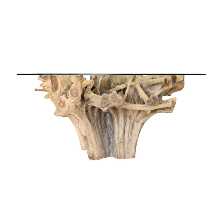 Glass Mur teak root dining table with natural wood base on a white background