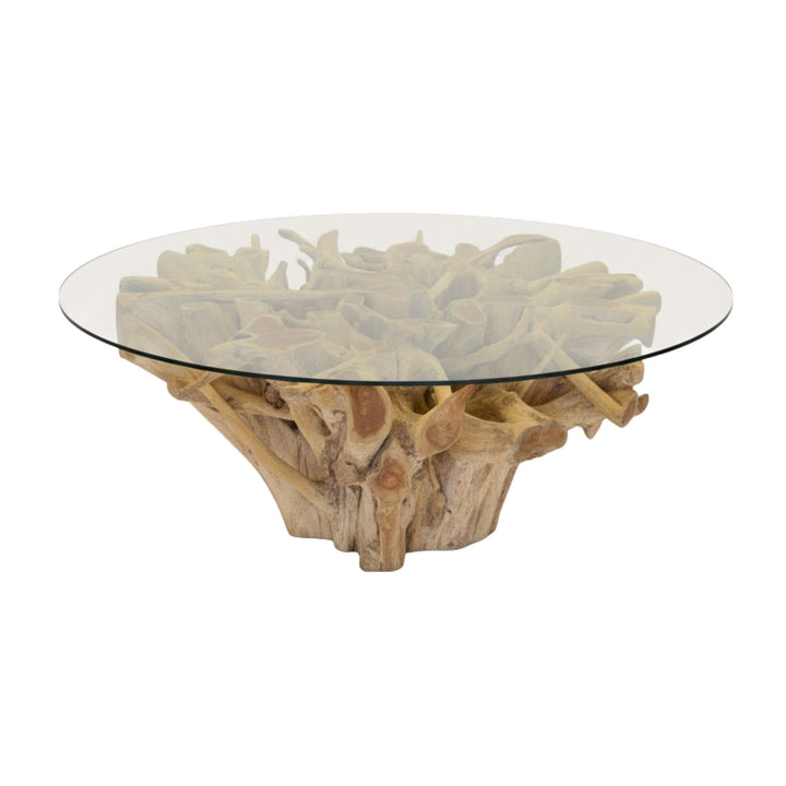 Glass-top Mur Teak root dining table with natural wood base on a white background