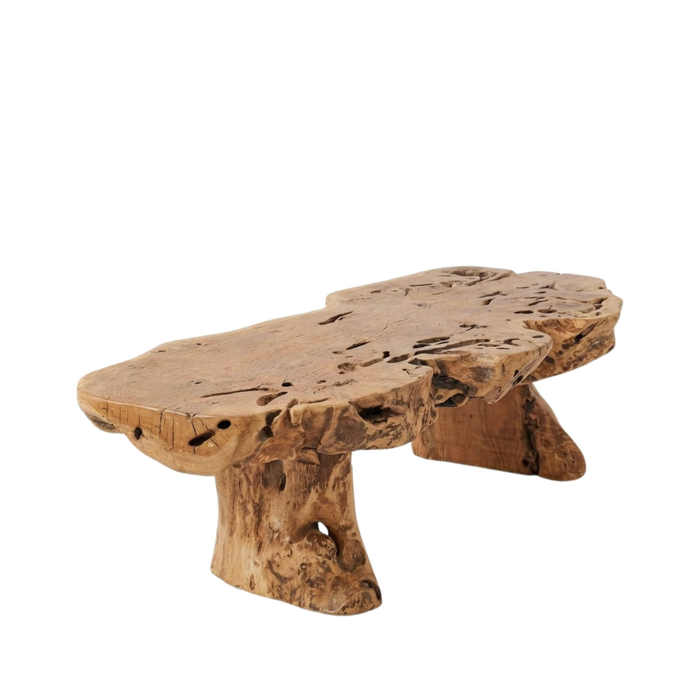 Front view of Nairobi Coffee Table made from solid oak root with an irregular sculptural silhouette.