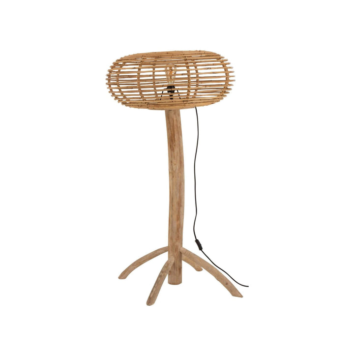 Small Robi floor lamp with oval rattan shade on teak stand