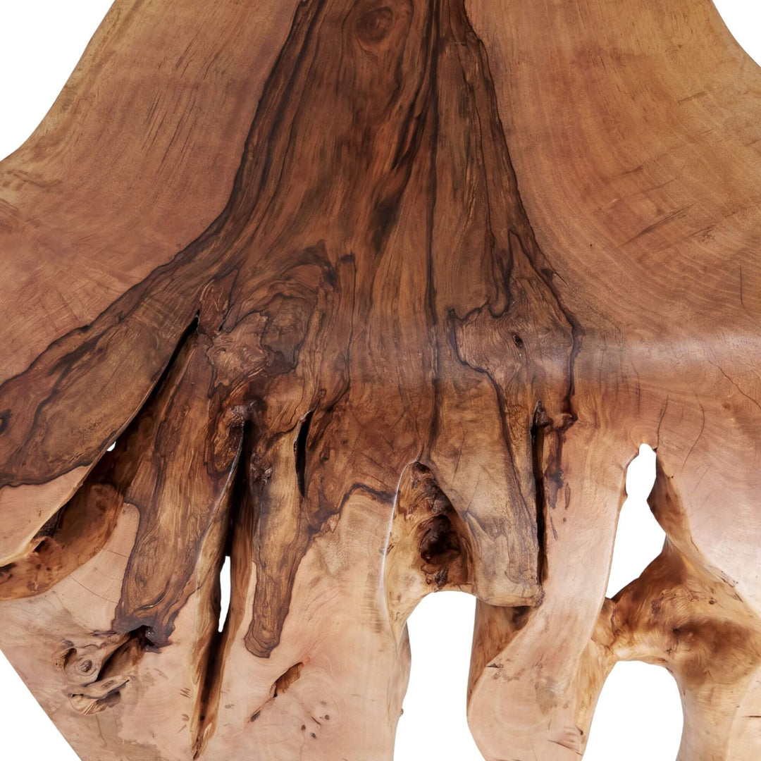Close-up of the table base showing the sculptural wood contours and natural organic character.