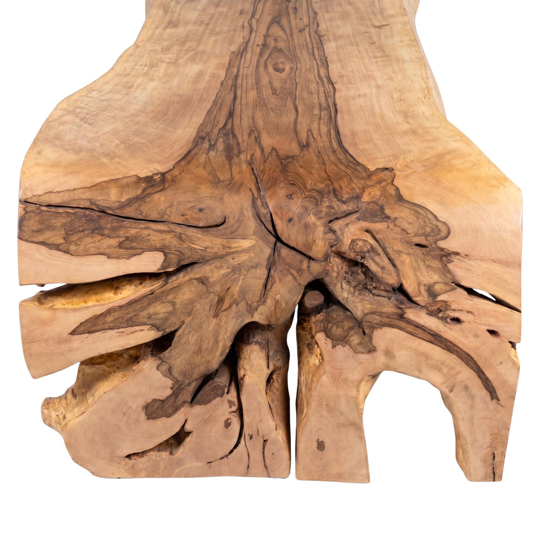 Close-up detail of the tabletop edge showing the rich mango wood grain and natural live-edge shape.