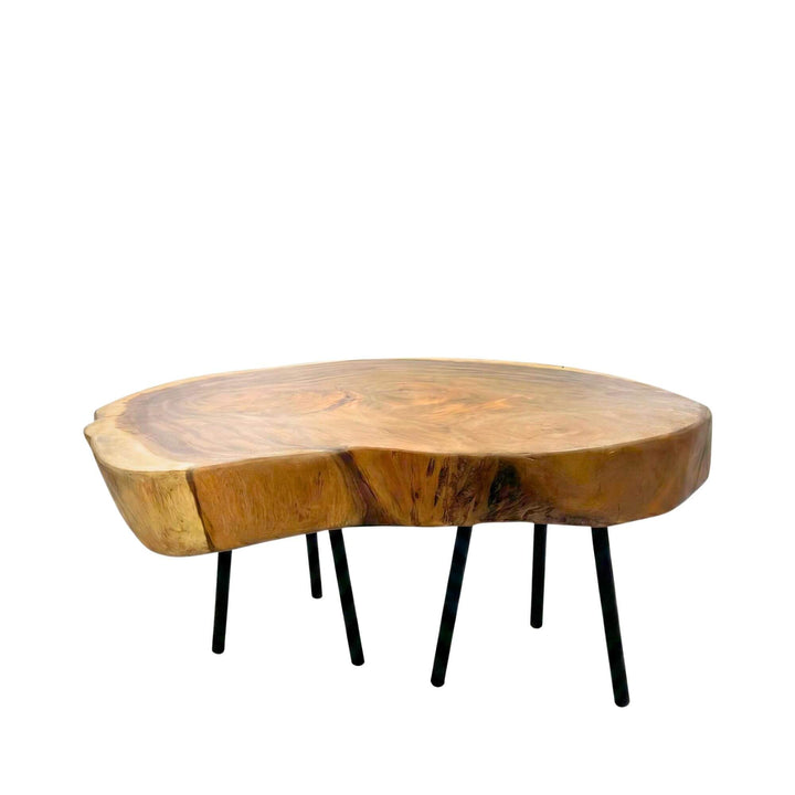 Front view of the Savu suar wood coffee table showing its solid wood construction and natural organic shape.