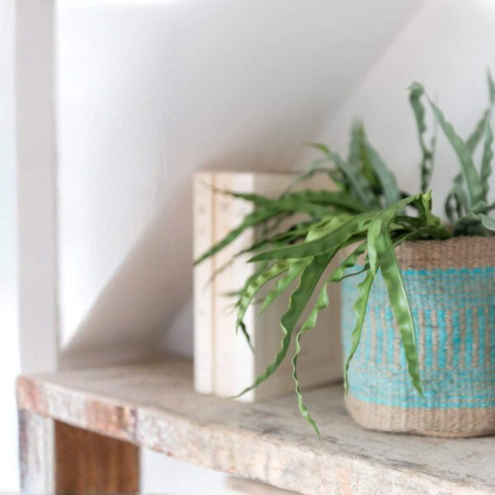 handwoven blue jute baskets used as decorative planters on a wooden shelf.


