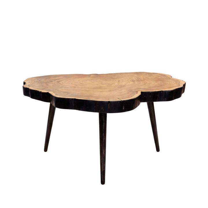 Front angled view of the Tree coffee table with an organic solid acacia wood top and slim dark iron legs