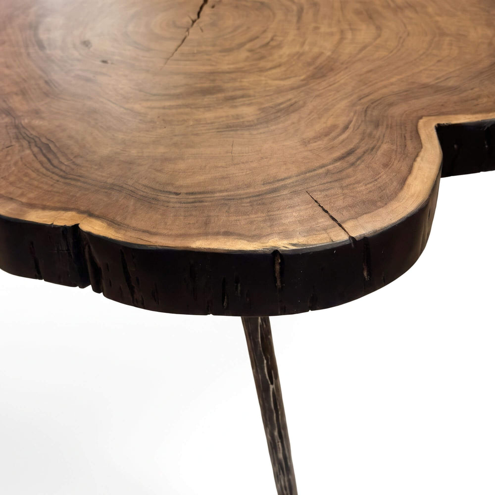 Close-up of the Tree coffee table highlighting the natural acacia grain, live edge, and growth rings