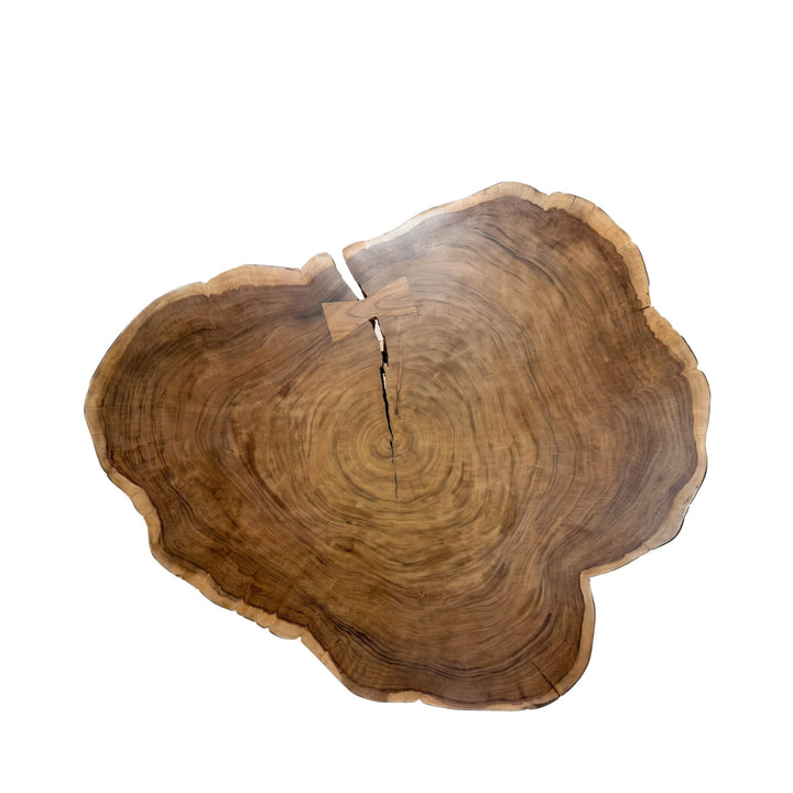 Top view of the Tree coffee table showing its irregular organic shape and expressive acacia wood grain