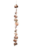 SEA SHELL WINDCHIME "L"