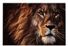 LION FACE PAINTING