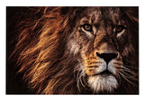 LION FACE PAINTING