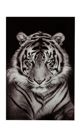 BENGALA TIGER PAINTING