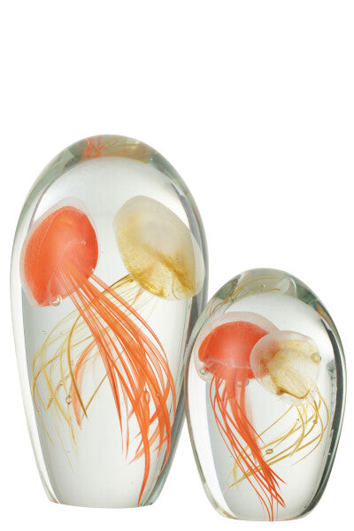 MEDUSA GLASS | SUNRISE