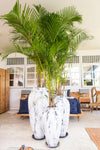 WHITE ANTIQUE VASE