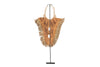 ETHNIC NECKLACE STAND B -NATURAL SHELLS-