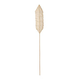 DECO LEAF NATURAL | 20X200CM