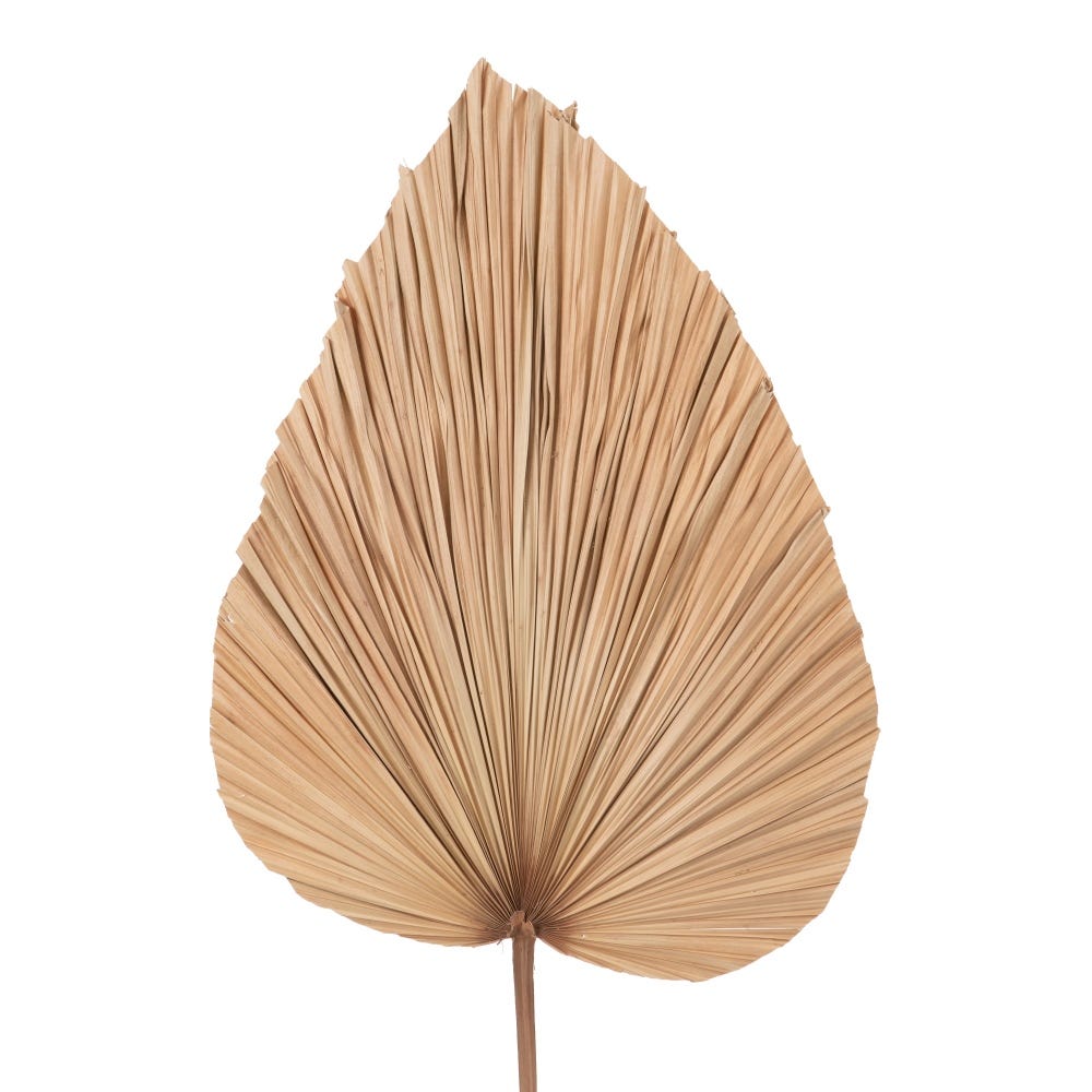 DECO PALM LEAF "K" | 46X130CM