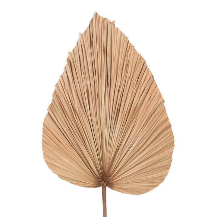 DECO PALM LEAF "K" | 46X130CM