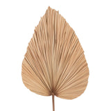 DECO PALM LEAF "K" 46-130