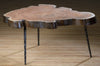 TREE COFFEE TABLE | 100X60X40CM