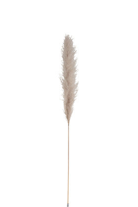 PAMPA LEAF "M"