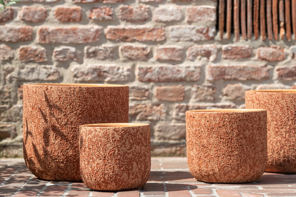 Styled image of the orange ceramic pot used as a planter with green plants.
