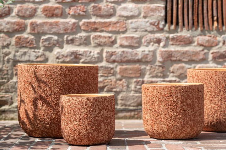 Styled image of the orange ceramic pot used as a planter with green plants.