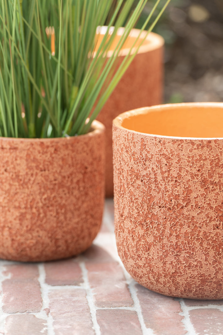 Styled image of the orange ceramic pot used as a planter with green plants.