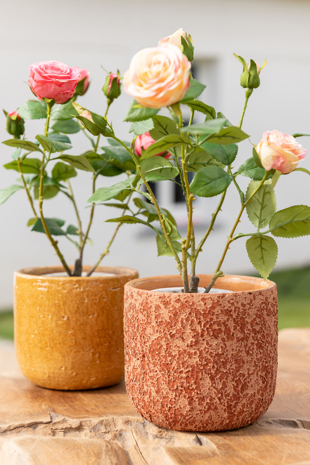 Styled image of the orange ceramic pot used as a planter with green plants.