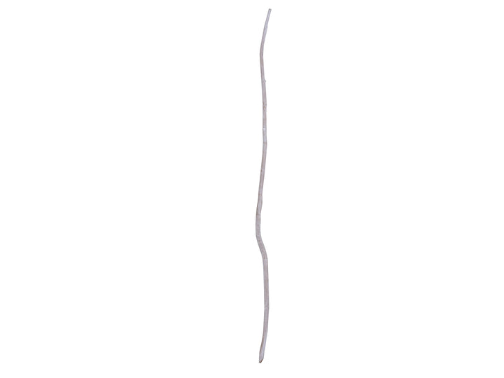 TEAK BRANCH DECO PALM WHITE WASH 200