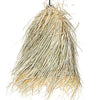 COCONUT LAMP S