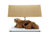 KUALA LAMP - TEAK WOOD LAMP