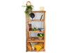 SAKAI TEAK BRANCH BOOK CASE | NATURAL 82X46X165CM