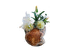 SOLO POT - TEAK POT - WHITE WASH