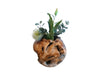 SOLO POT - TEAK POT - WHITE WASH